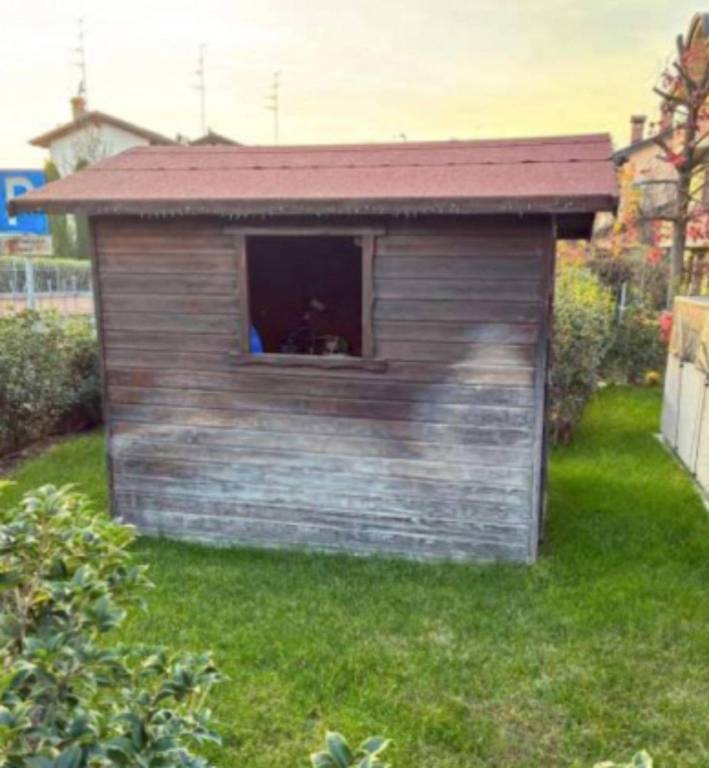 immagine annuncio 11 di 14