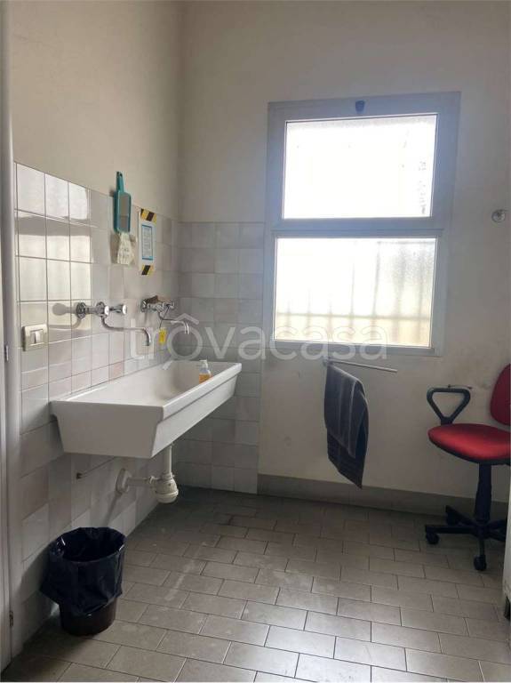 immagine annuncio 7 di 14
