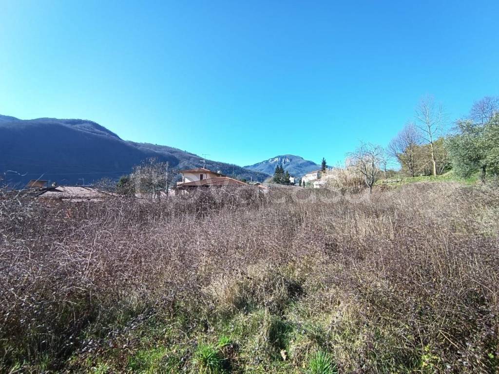 immagine annuncio 4 di 6