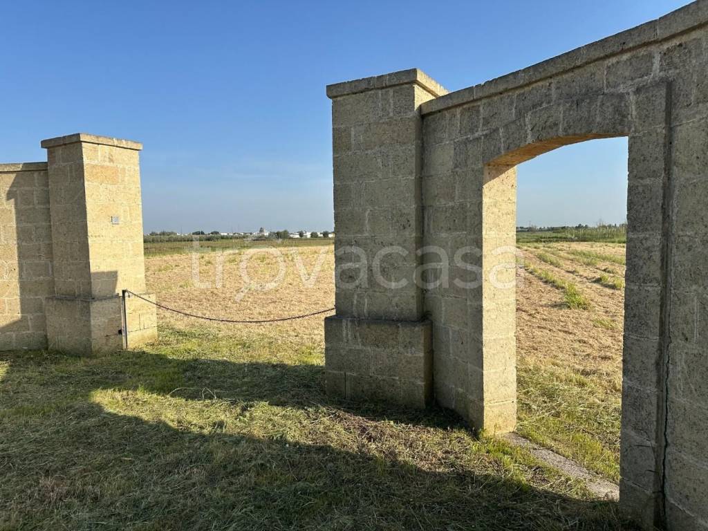 immagine annuncio 1 di 14