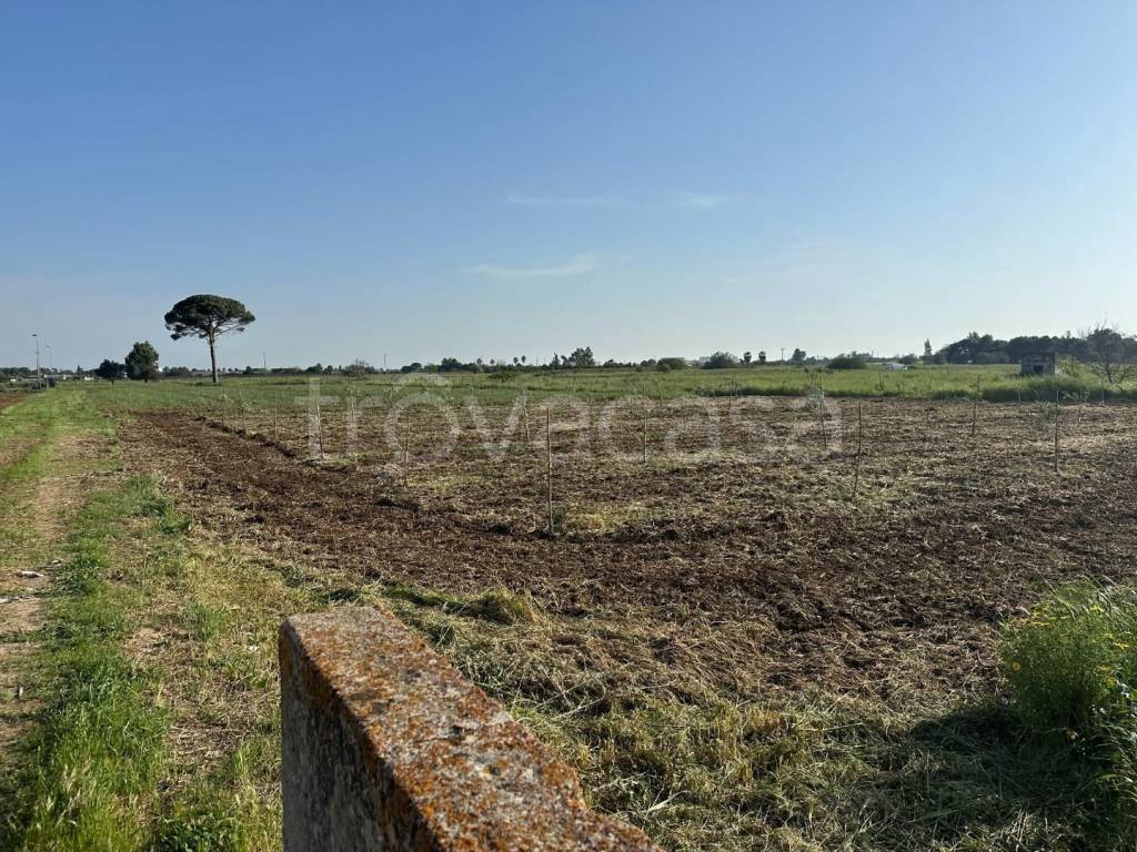 immagine annuncio 10 di 14