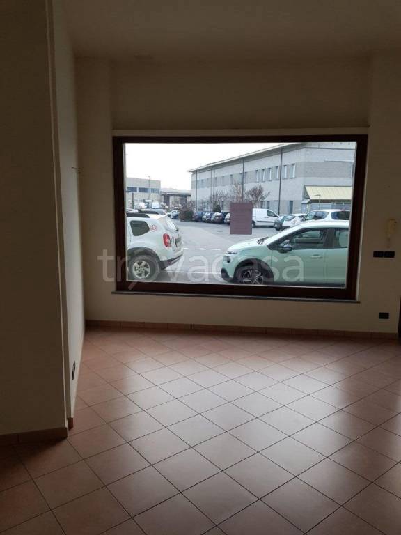 immagine annuncio 9 di 12