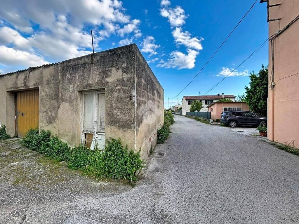 immagine annuncio 8 di 12