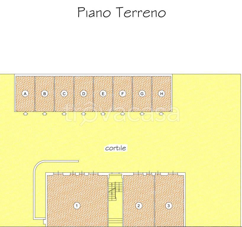 immagine annuncio 10 di 12