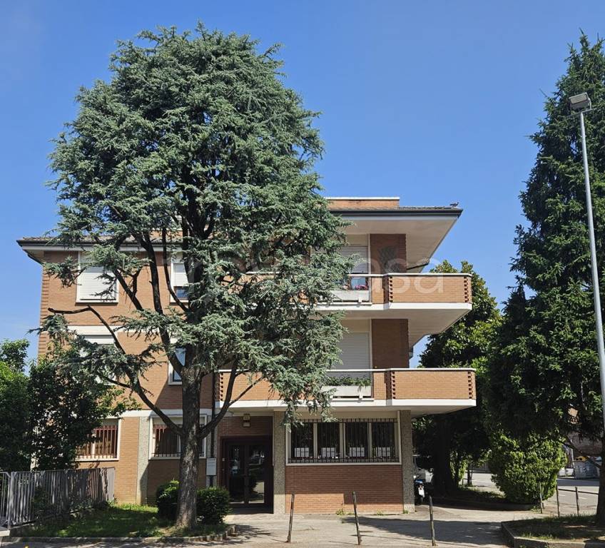 immagine annuncio 5 di 6