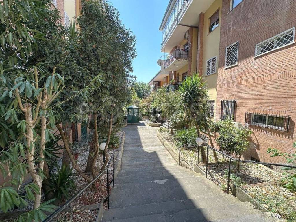 immagine annuncio 8 di 12