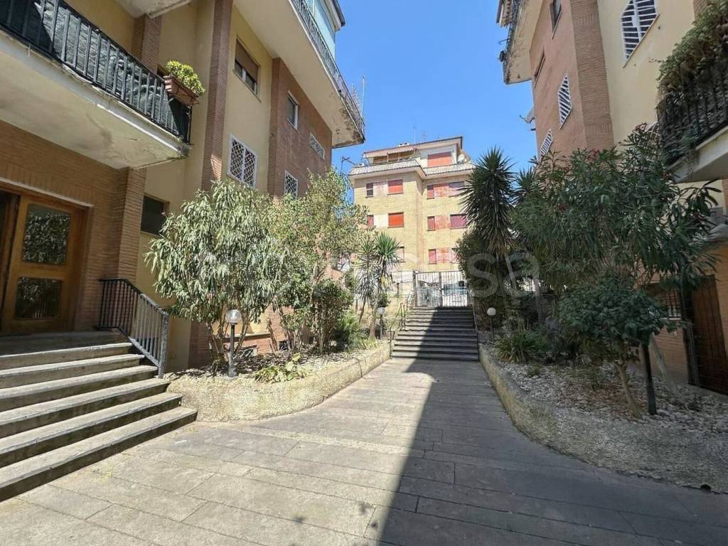 immagine annuncio 9 di 12