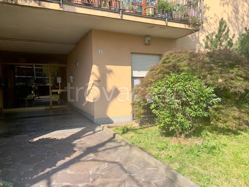 immagine annuncio 1 di 12