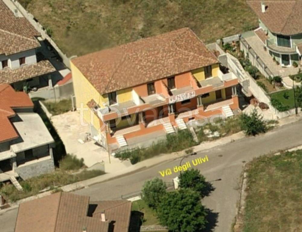 immagine annuncio 6 di 12
