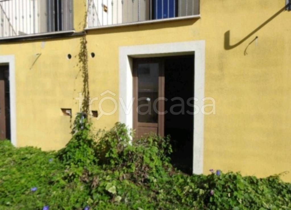 immagine annuncio 9 di 12