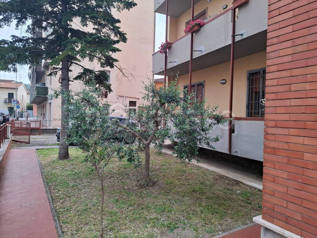 immagine annuncio 9 di 12