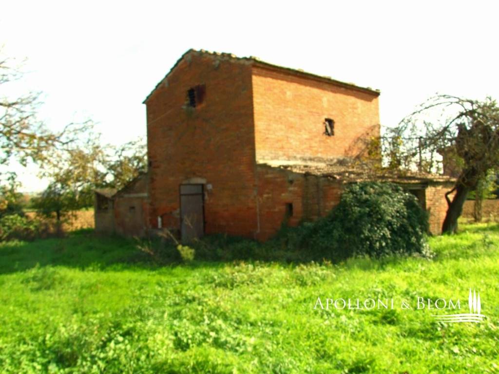 immagine annuncio 7 di 14