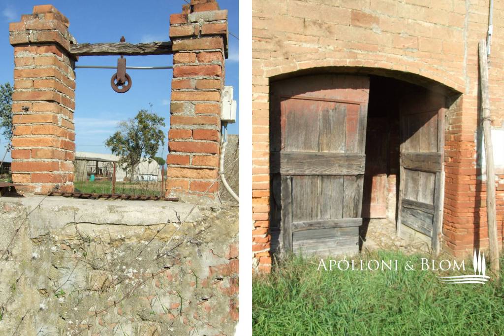 immagine annuncio 10 di 14