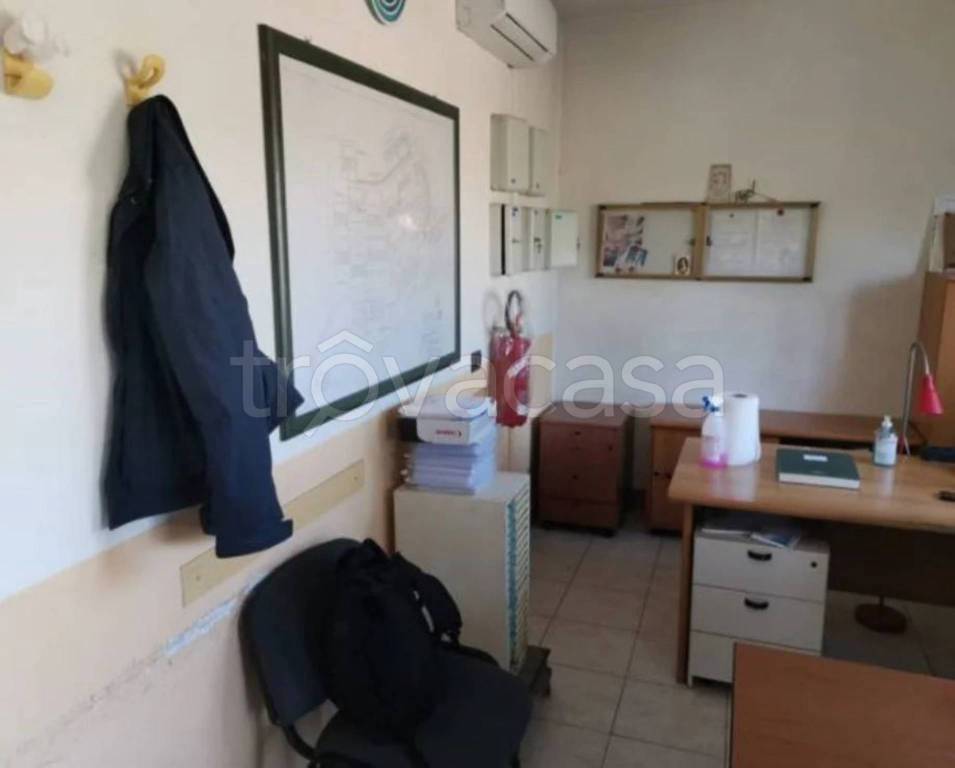 immagine annuncio 9 di 12
