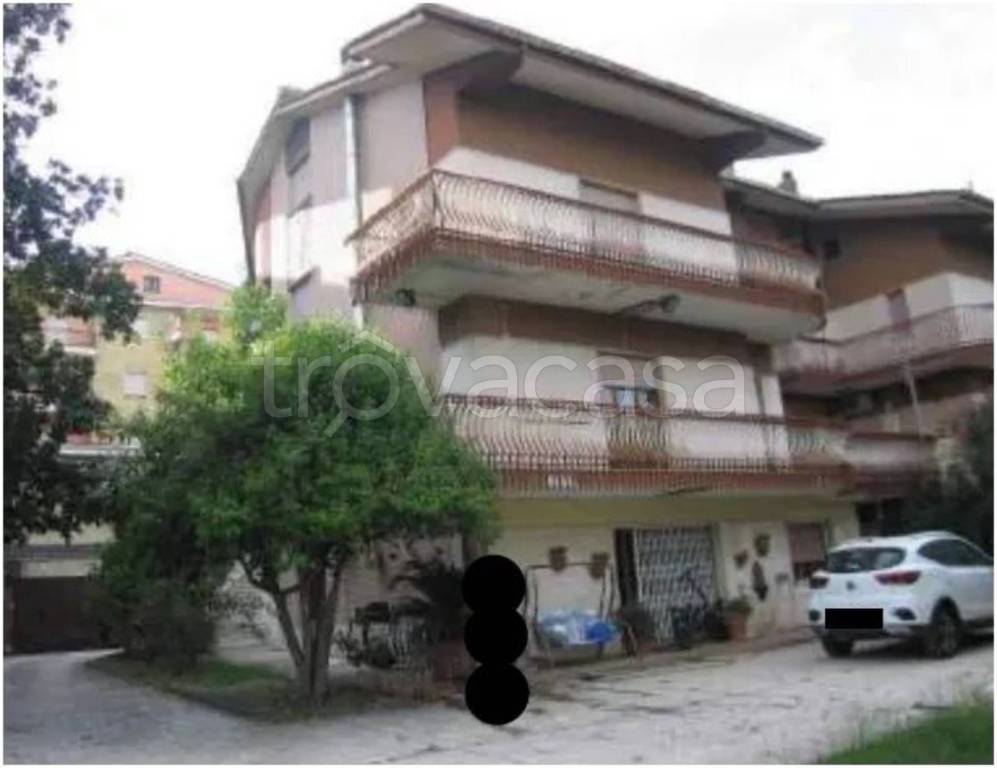 immagine annuncio 2 di 12