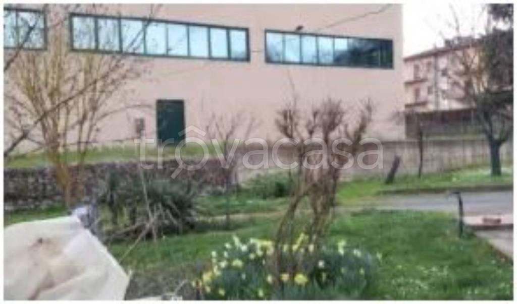 immagine annuncio 10 di 14