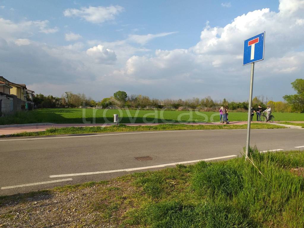 immagine annuncio 5 di 14