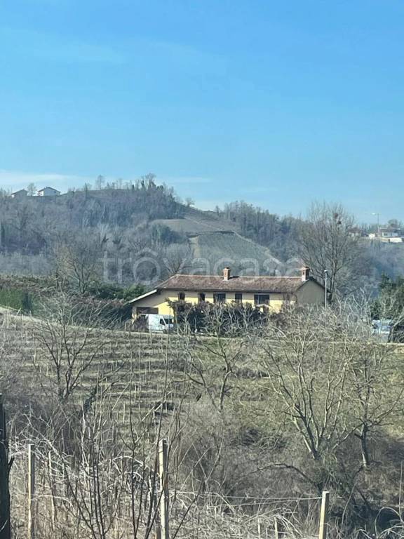 immagine annuncio 10 di 14