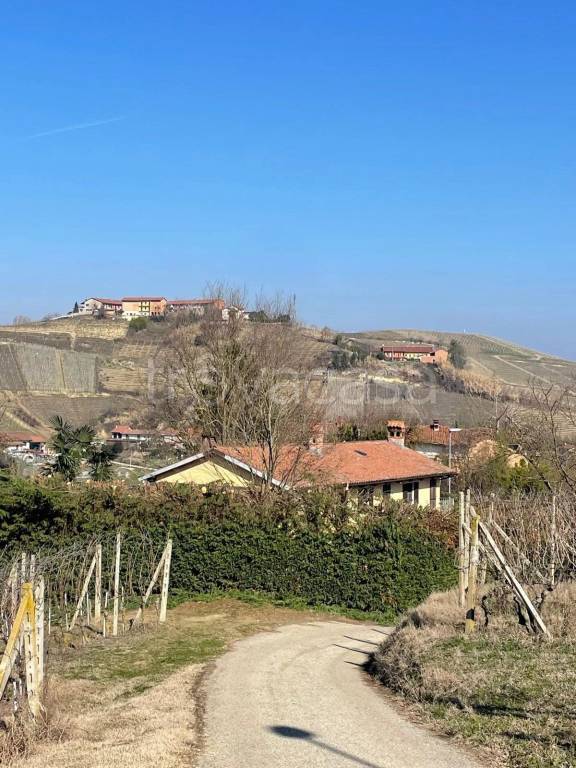 immagine annuncio 11 di 14