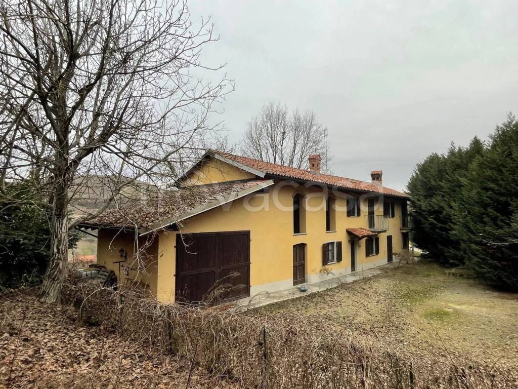 immagine annuncio 13 di 14