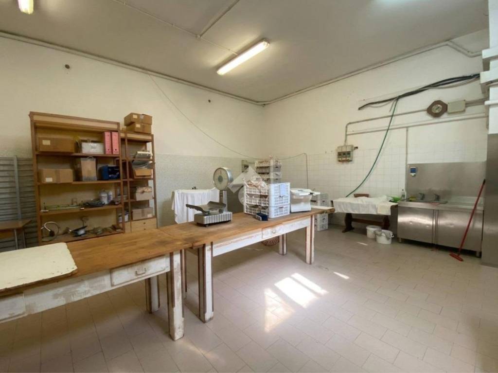 immagine annuncio 9 di 14