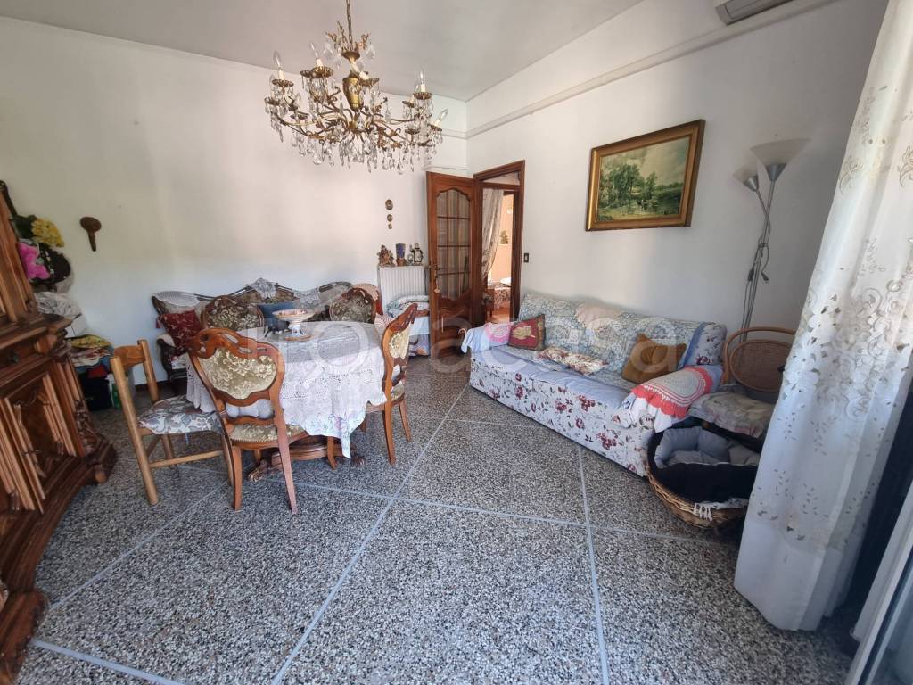 immagine annuncio 3 di 14