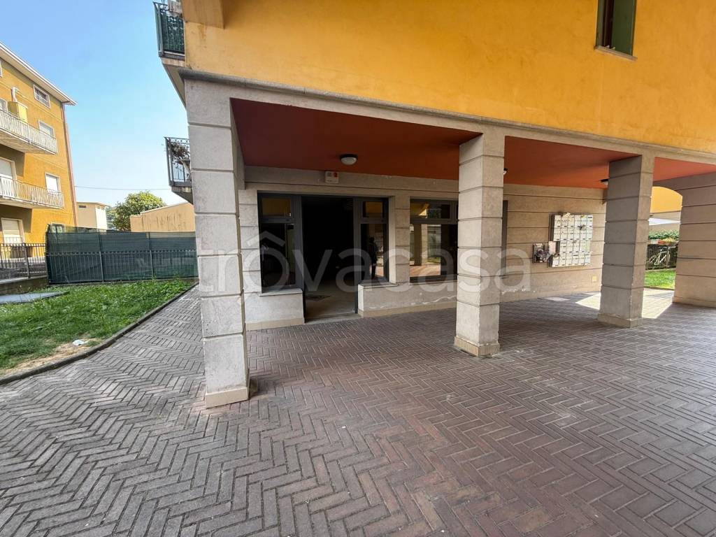immagine annuncio 5 di 8