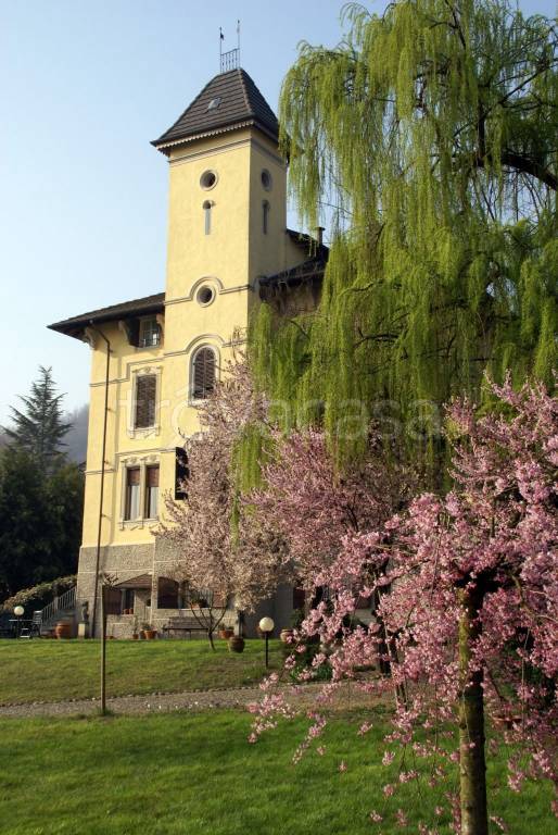 immagine annuncio 2 di 12