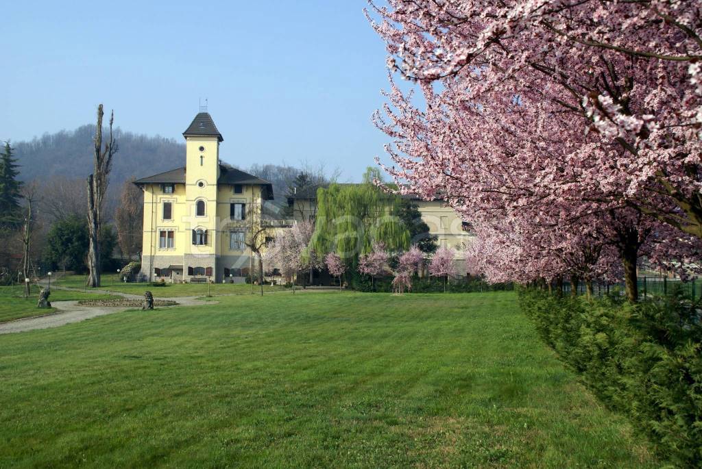 immagine annuncio 1 di 12