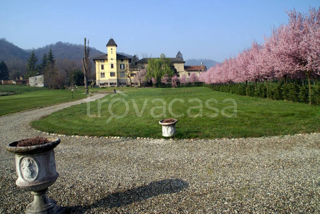 immagine annuncio 4 di 12