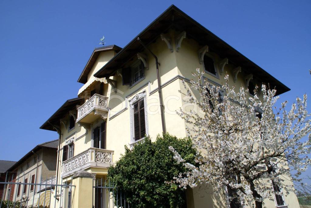 immagine annuncio 7 di 12