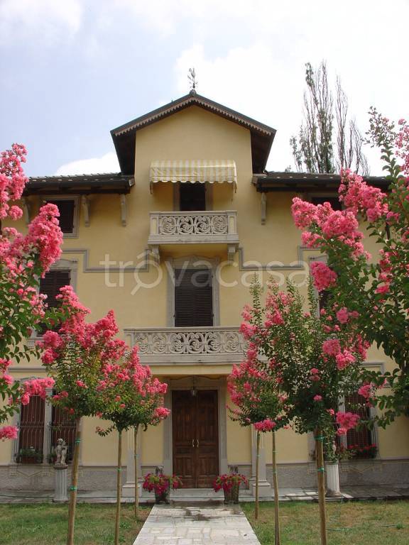 immagine annuncio 10 di 12