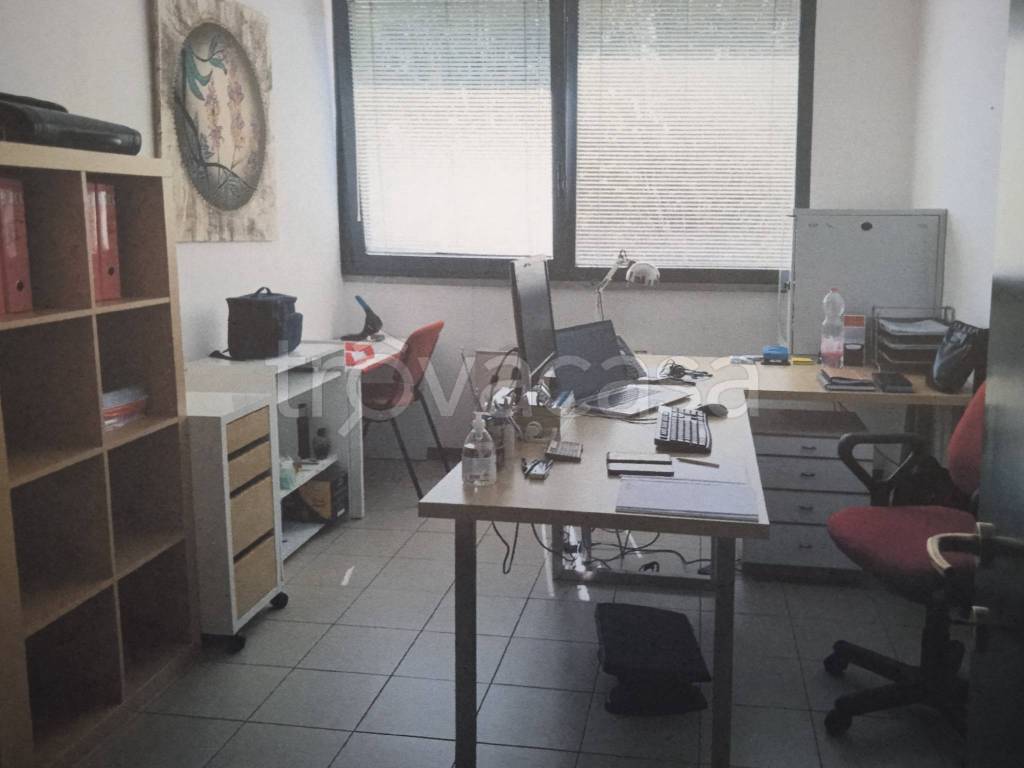 immagine annuncio 6 di 11