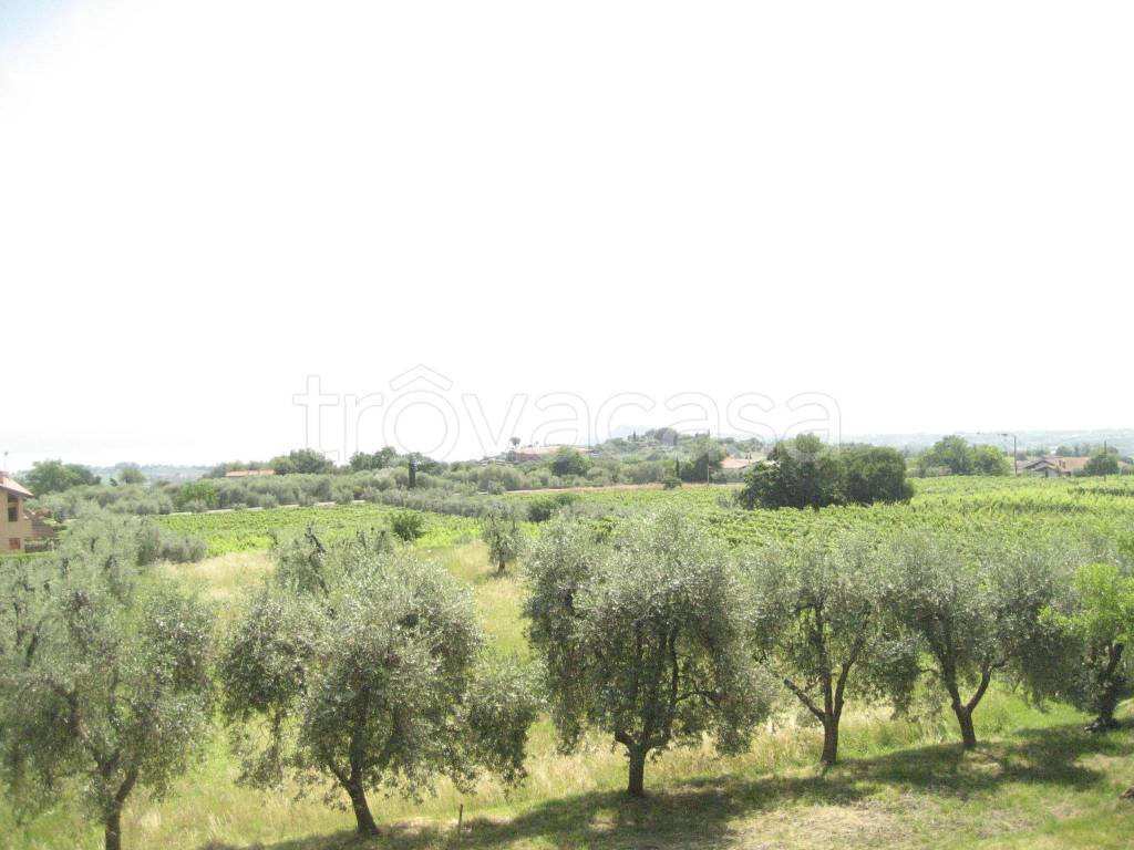 immagine annuncio 2 di 6