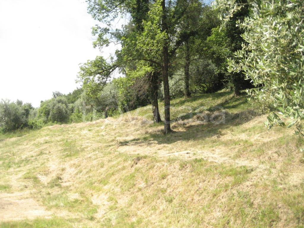 immagine annuncio 3 di 6