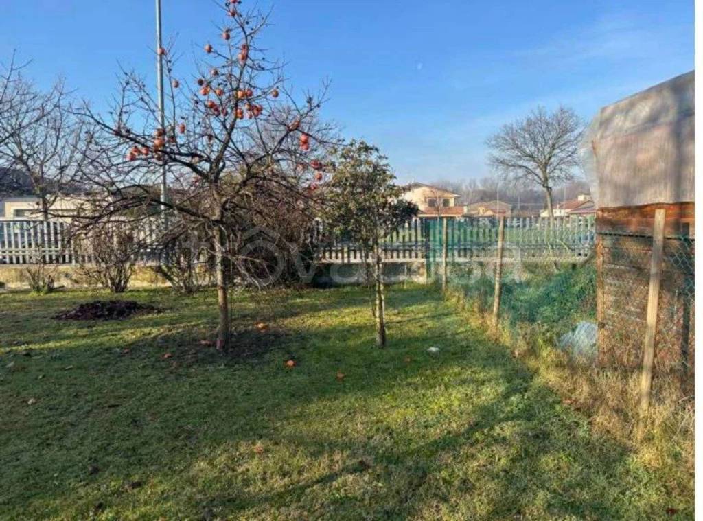immagine annuncio 2 di 11