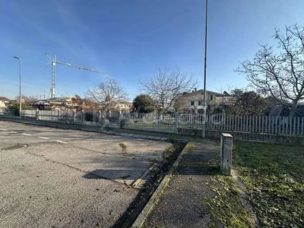 immagine annuncio 3 di 11
