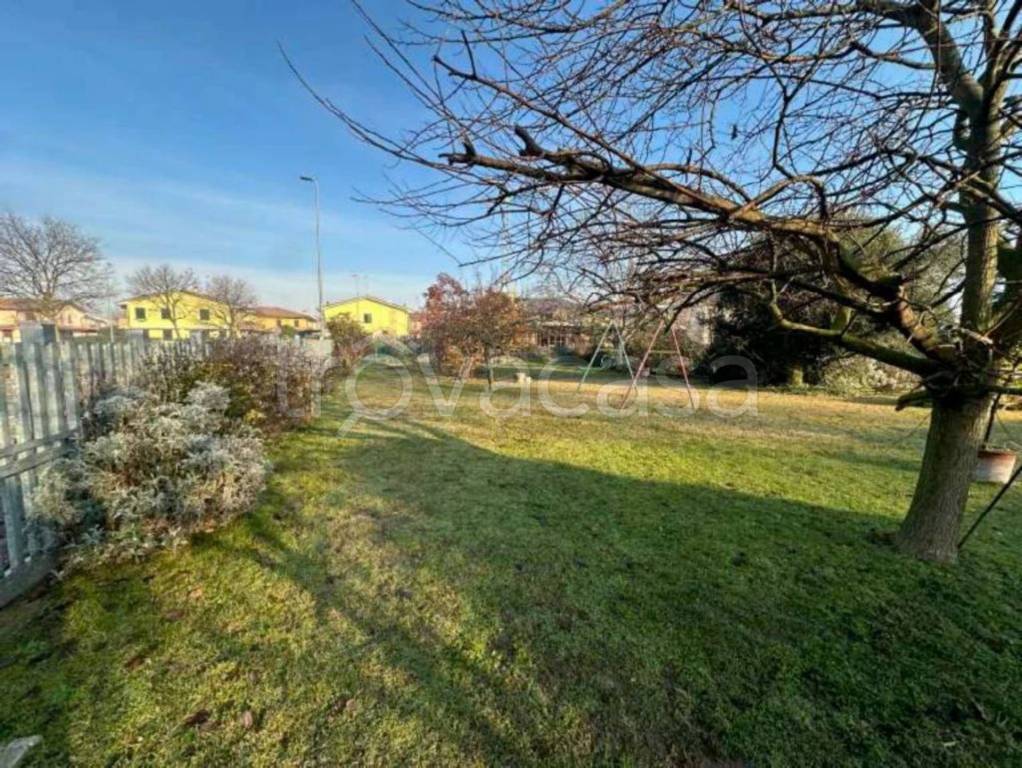 immagine annuncio 10 di 11