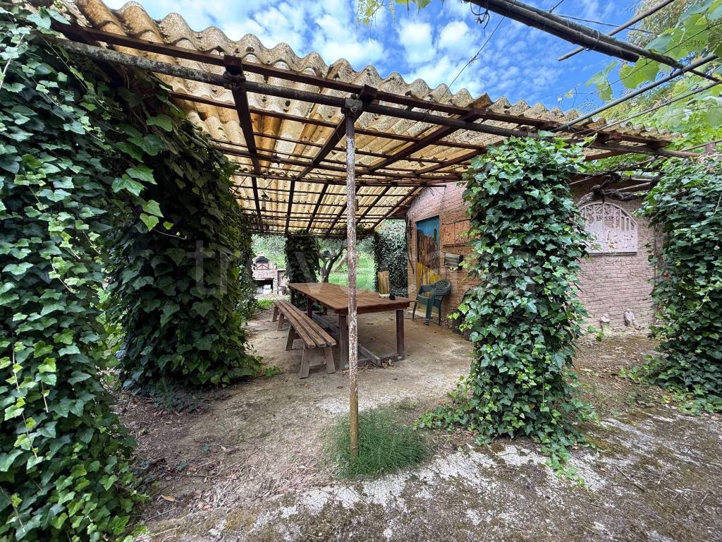 immagine annuncio 2 di 11