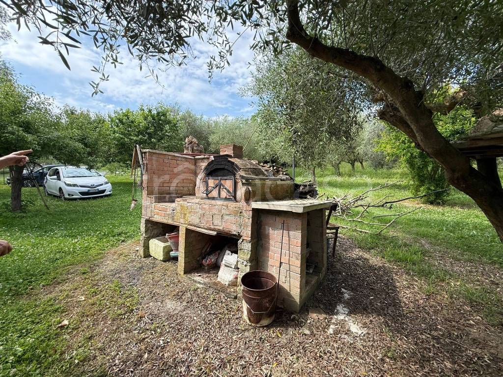 immagine annuncio 4 di 11