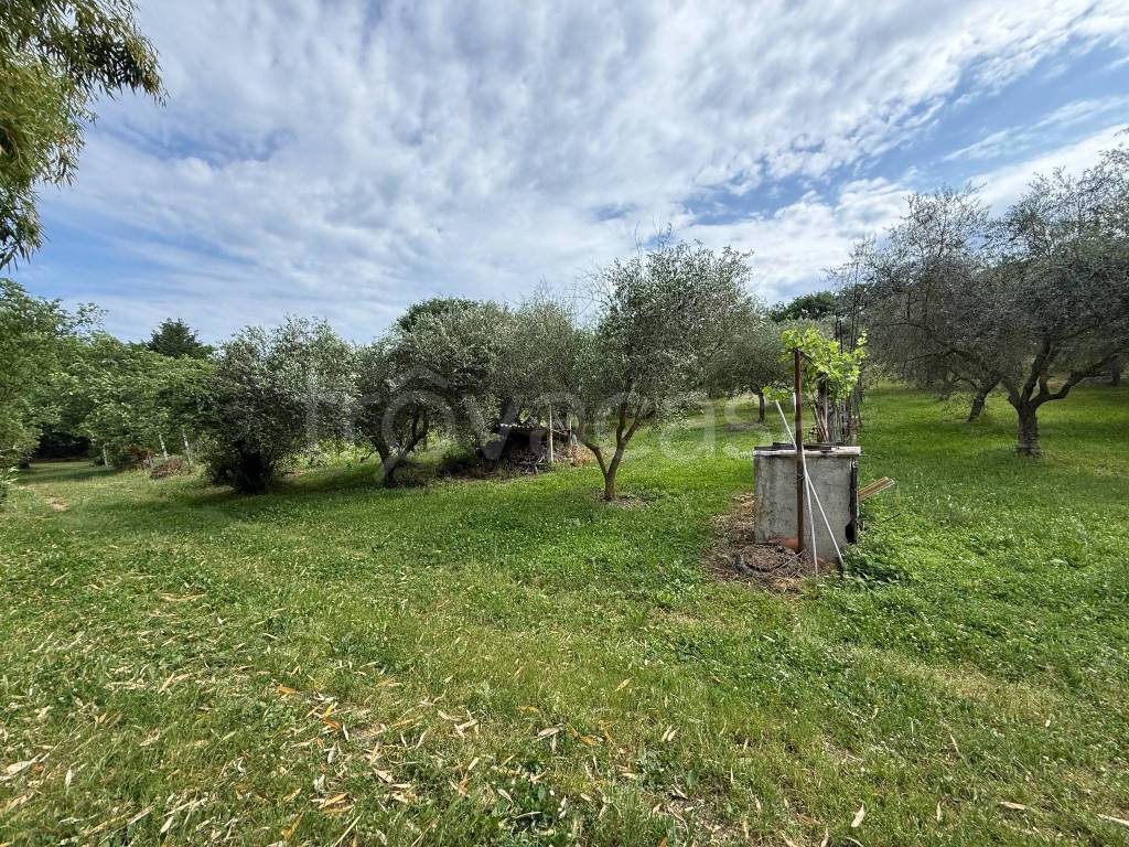 immagine annuncio 8 di 11