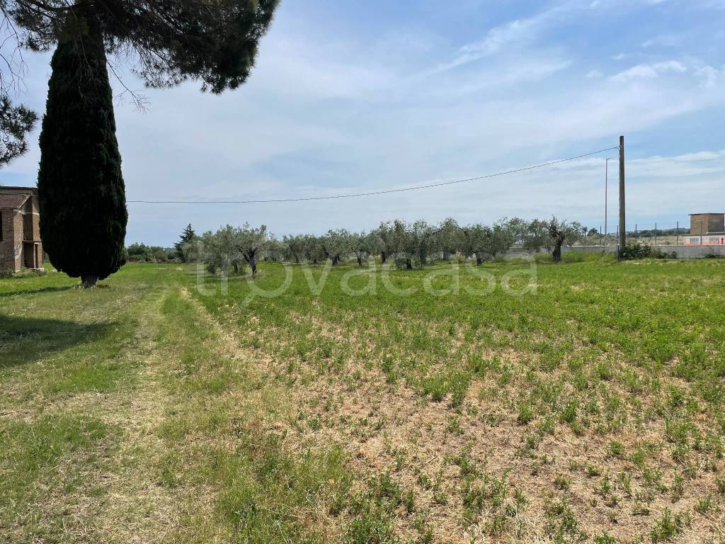 immagine annuncio 3 di 8