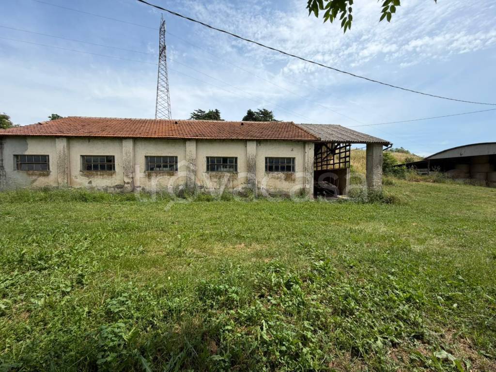 immagine annuncio 9 di 10
