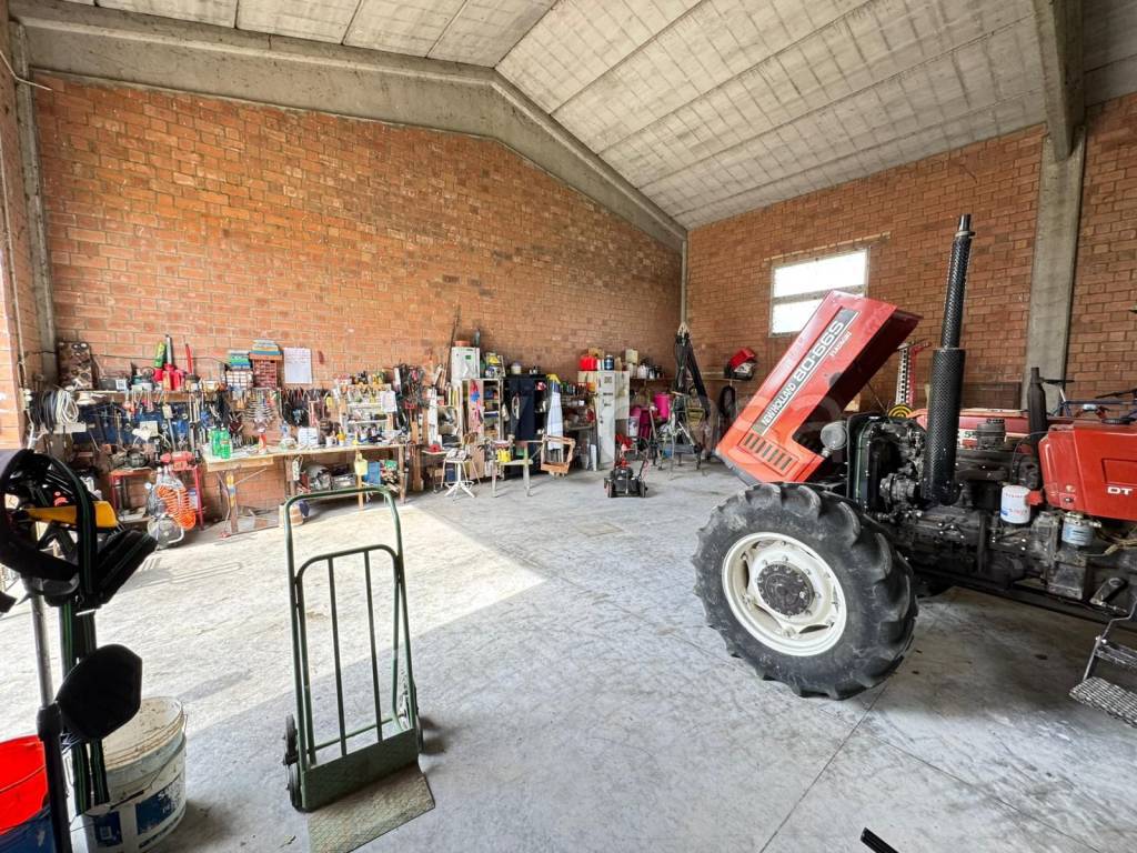 immagine annuncio 9 di 15