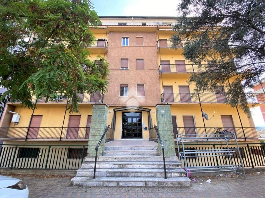 immagine annuncio 11 di 12