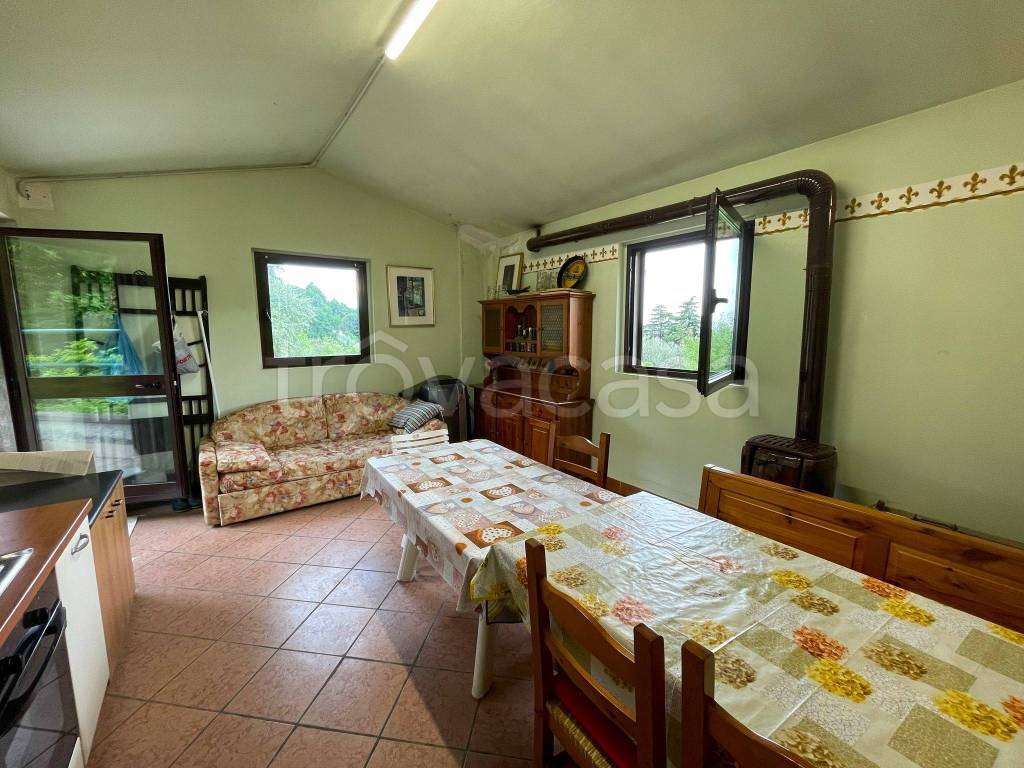 immagine annuncio 7 di 14