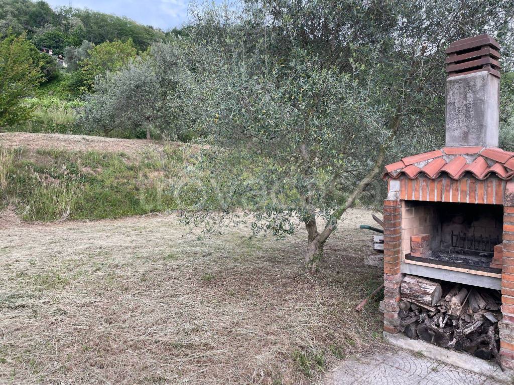 immagine annuncio 5 di 14