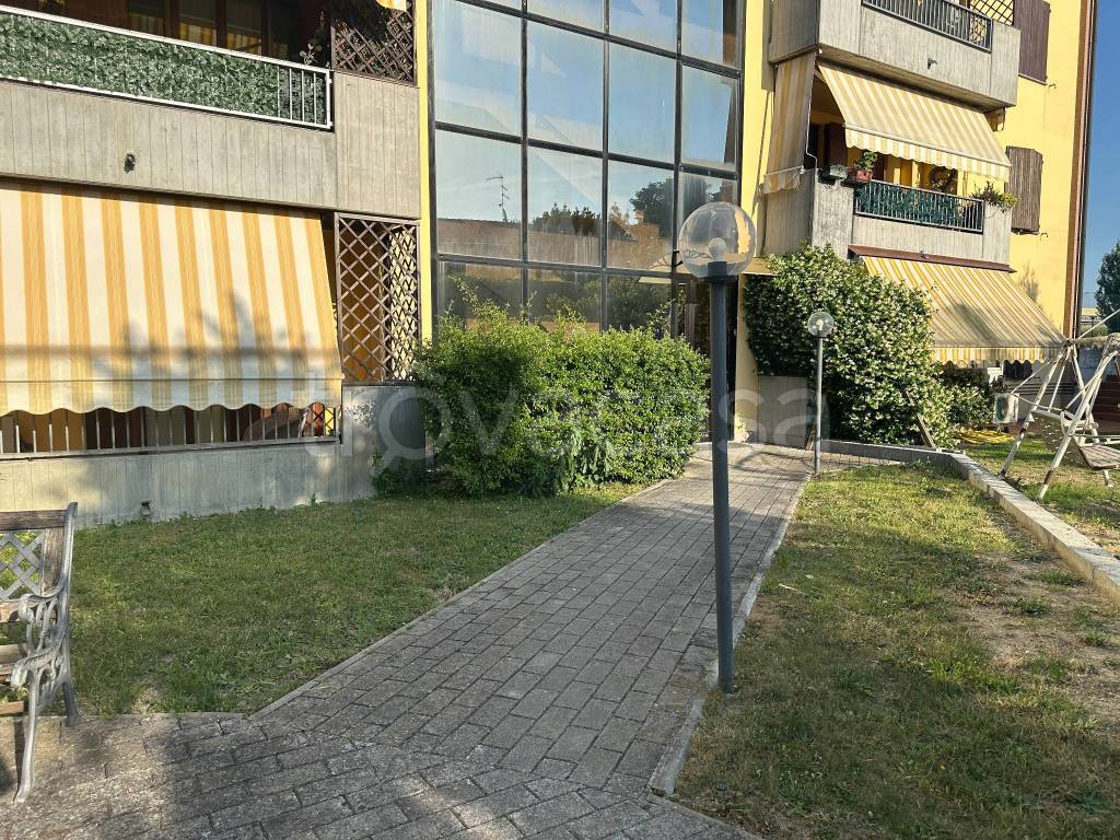 immagine annuncio 4 di 15