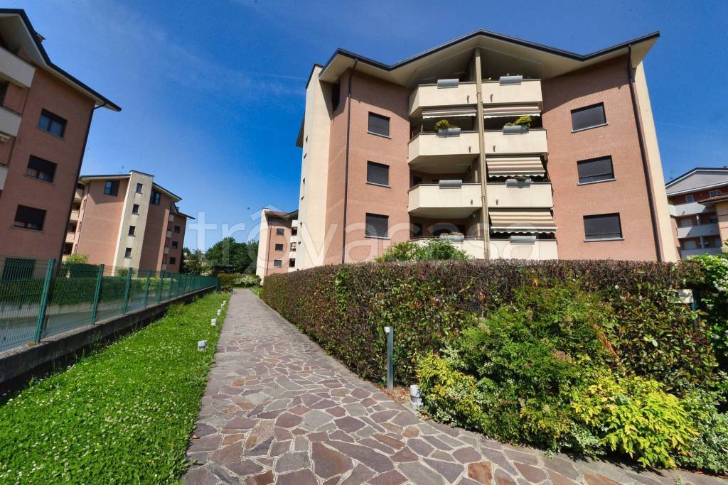immagine annuncio 1 di 15