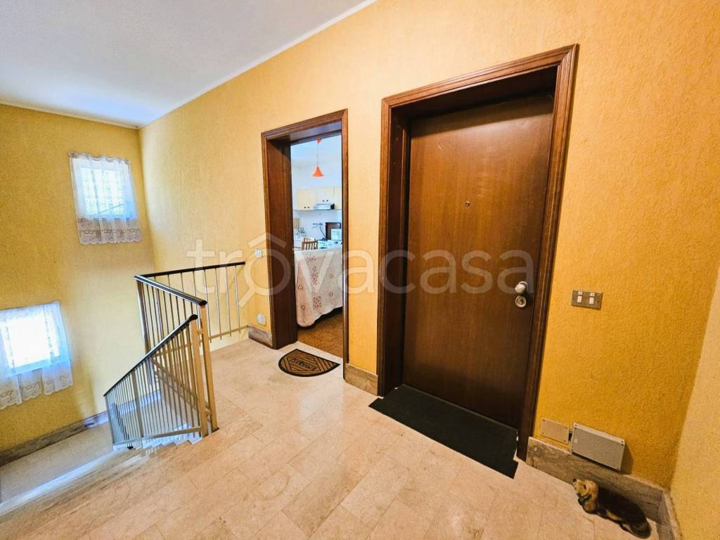 immagine annuncio 9 di 13